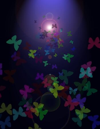 butterflies flying to the sunの写真素材