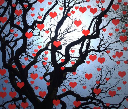 Tree beautiful with reds hearts in the Valentin dayの写真素材