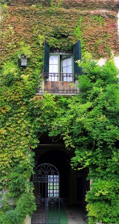 old window in the weaving plantの写真素材