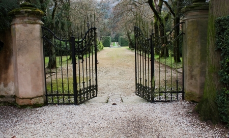 old iron gate in the old park