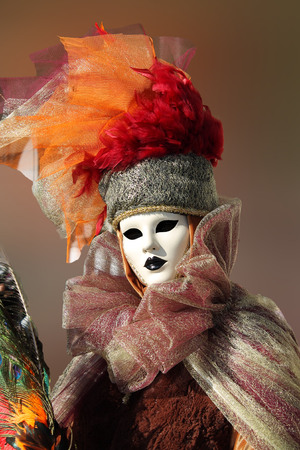 woman in traditional carnival costume, in the famous Venice Carnival のeditorial素材