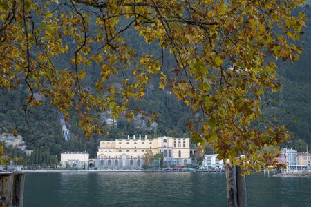 Autumn tree on a background of lake Garda in Italyの写真素材