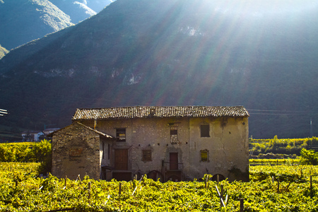 One big old house that is very run down at night.の写真素材