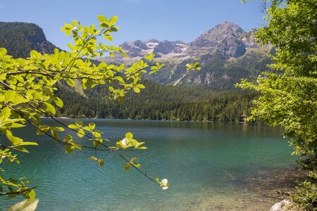Italy, Trentino Alto Adige ,Reflection in the Tovel Lake.の写真素材