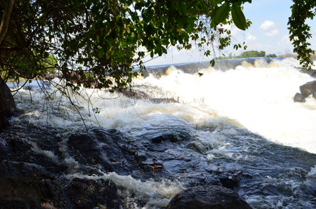 View of the river in the Llovizna natural park, located in Venezuela, Ciudad Guayana, BolÃ­var State.の写真素材