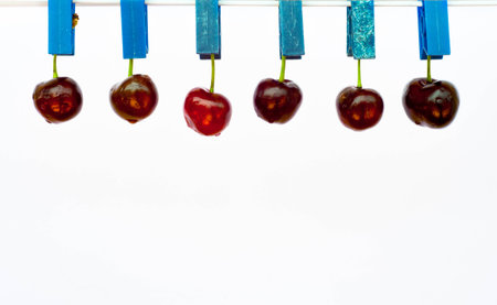 cherries stretchedの写真素材