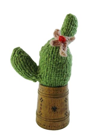 The Cactus very interesting plantの写真素材