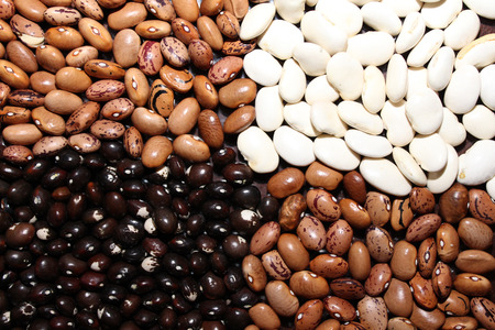 The kidney bean is a variety of the common bean. It is named for its visual resemblance in shape and color to a kidney.の写真素材