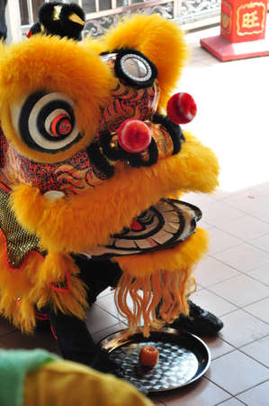 Chinese new year Lion danceの写真素材