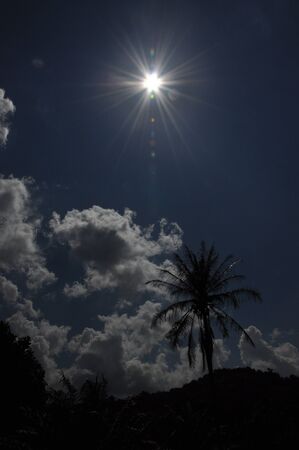 hot weather under the sunの写真素材