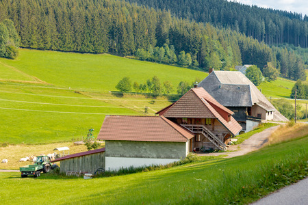 Traditional farm located in the Black Forest Germany on a beautiful sunny dayのeditorial素材