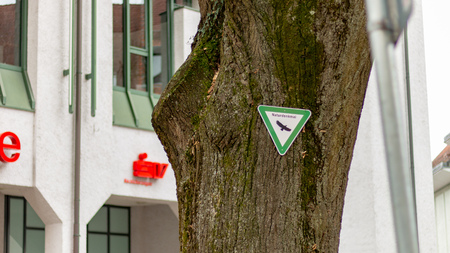 BAD SÃCKINGEN, GERMANY - JULY 21 2018: "Naturdenkmal" (means: Nature monument) sign on tree in the center of bad sackingenのeditorial素材