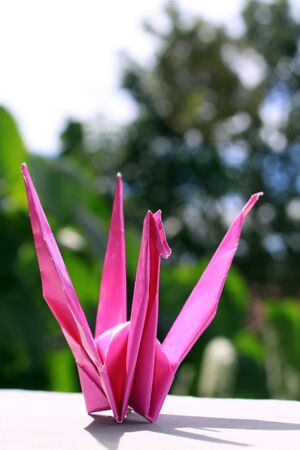 Pink Origami Birdの写真素材