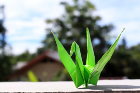 Origami Bird Greenの写真素材