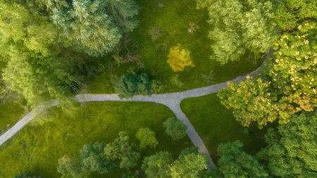 Aerial view of a road in the forest. Top view.