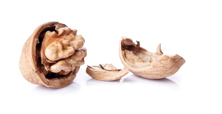 cracked walnut laying on whiteの写真素材