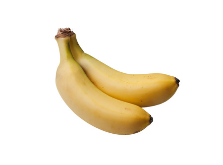 a couple of mini bananas on white backgroundの写真素材