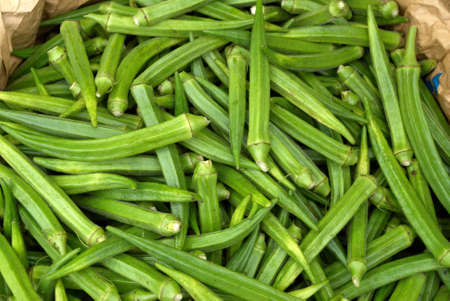 Ladies fingerの写真素材