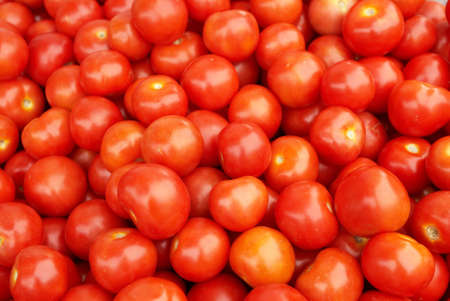 Tomato 3の写真素材
