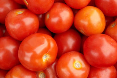 Tomatoの写真素材