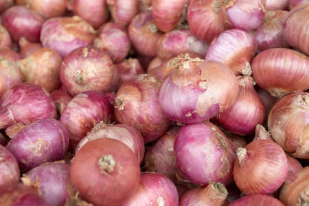 onionの写真素材