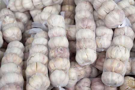 Garlicの写真素材