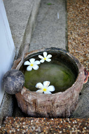bucket of water and flowersの写真素材