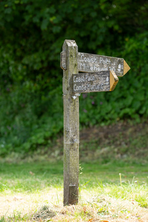 old wooden direction sign in the Devon countrysideの写真素材