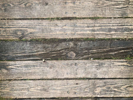 close up of wooden board showing texture photographic background macro with copy space from above