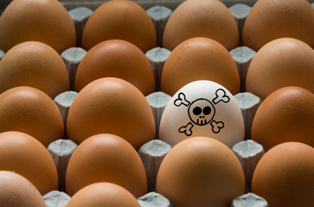 box of brown chicken eggs one white toxic egg, concept for egg allergies, egg hygeneの写真素材