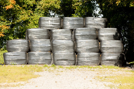 hay straw bales bagged protected plastic covered silage in pile stack row for feed food at harvesting timeの写真素材