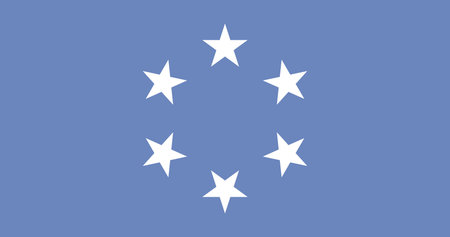 Trust Territory of Pacific Islands Flag Vector Illustration Premium Qualityのイラスト素材