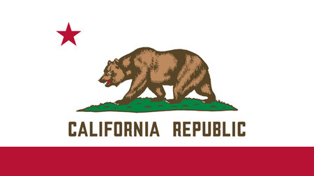 California US State Flag Vector Illustrationのイラスト素材