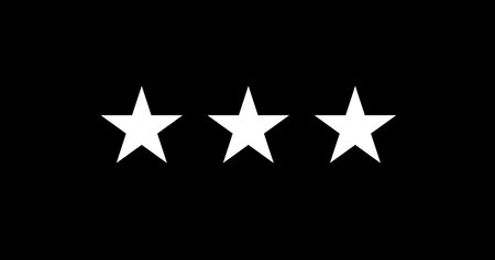 United States Space Force Lieutenant General Flag Vector Illustration Premium Qualityのイラスト素材