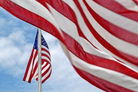 Flag Of The United States Of America