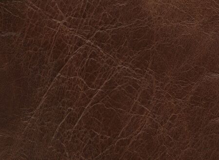 High Resolution Of Genuine Leatherの写真素材