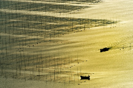 Seaweed farm against strong sunlight, photo taken in Fujian province of Chinaの写真素材