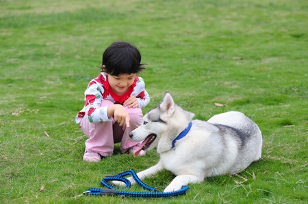Asian kid playing with dog on the lawnの写真素材