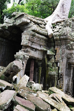 Ancient Tree and ruins of Ta Prohm Temple in the Angkor Area, Siem Reap, Cambodiaの写真素材