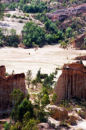 Soil forest in Yunnan province, Chinaの写真素材