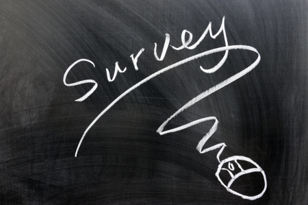 Survey and mouse sign drawn on chalkboardの写真素材