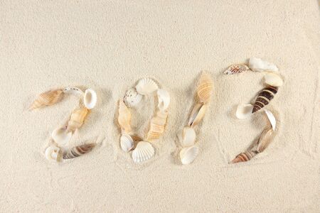 2013 new year made of seashells group on the sand