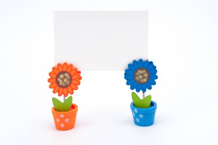 Blank white paper on clips of two sun flower potsの写真素材