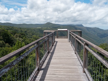 Wood bridge in Dorrigo National Park, Australiaの写真素材