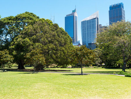 Green lawn with modern building as background in Sydney, Australiaの写真素材