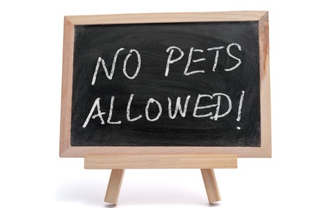 No pets allowed words written on blackboard using chalkの写真素材