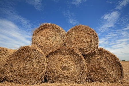 Rolls of hay in the autumn field with blue sky as background