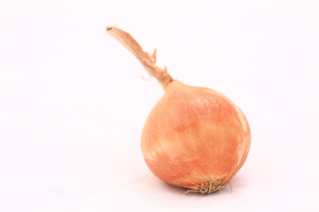 Onion on a white backgroundの写真素材