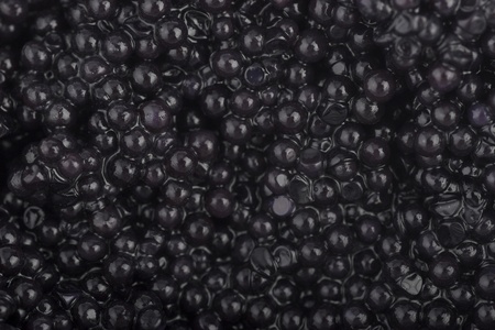 caviar