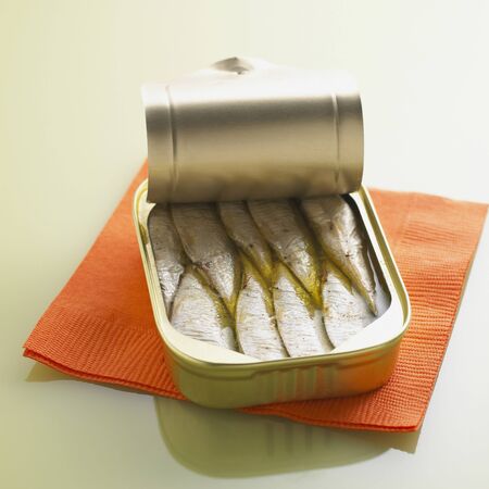 Sardines and Napkinの写真素材
